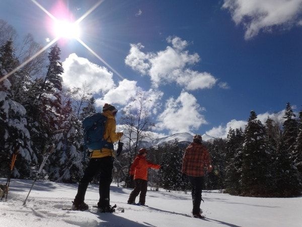 Norikura Highlands Snowshoe Half-Day