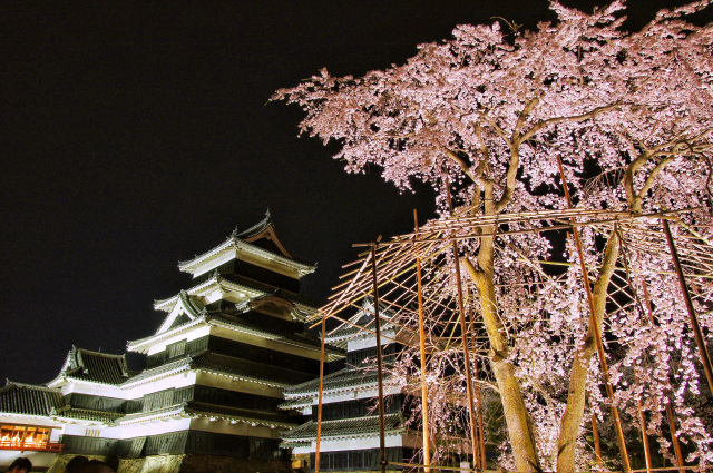 令和8年 国宝松本城夜桜会