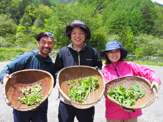Wild Vegetable Foraging & Spring Hiking 1-Day Tour
