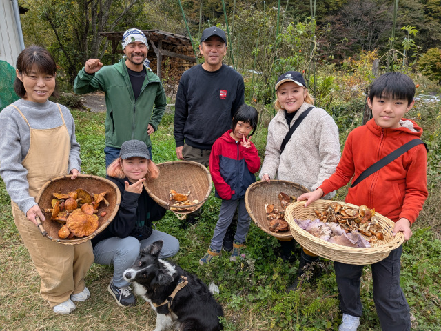 1-Day Mushroom Picking & Autumn Foliage Hike