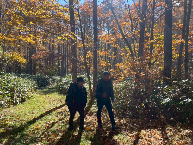 Nomugi Old Road Trekking 1-Day