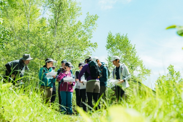 SEIJI MIURA NORIKURA FESTIVAL 2026