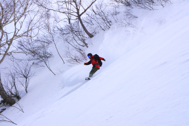 Backcountry Tours
