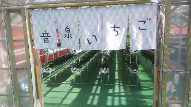 わいわい広場