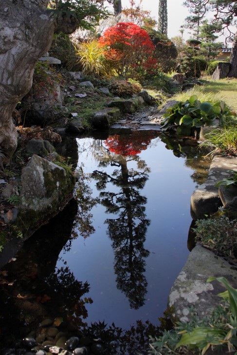 Special Exhibition: “Autumn in the Tsuboniwa Garden”