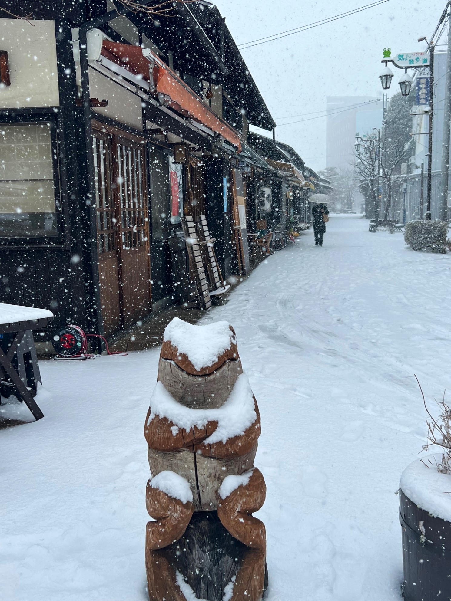 まつもと雪景色 | 新まつもと物語