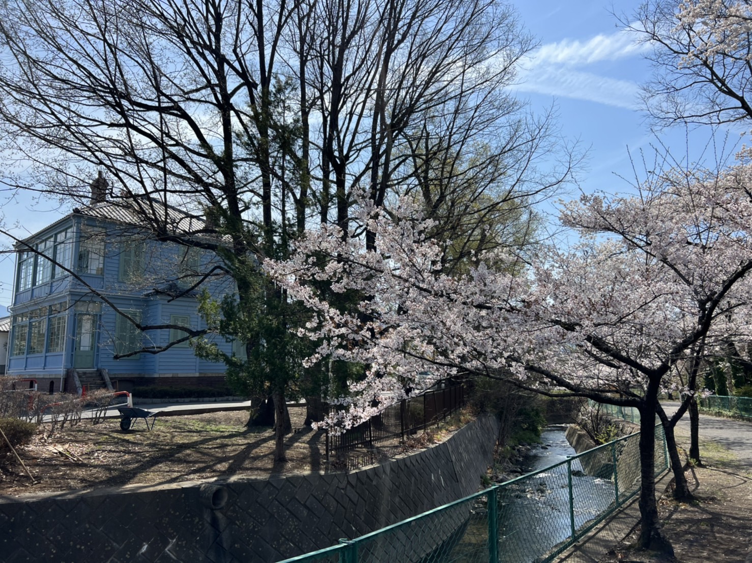 【中古】 いのちの学校/夏葉社/柳沢智子 国宝旧開智学校校舎周辺桜情報4月4日 | 新まつもと物語