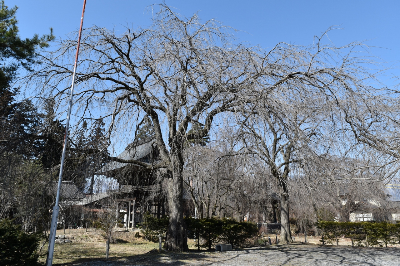 安養寺 | 新まつもと物語 安養寺 | 新まつもと物語
