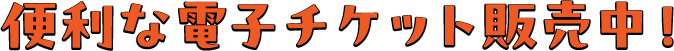 電子決済の紹介