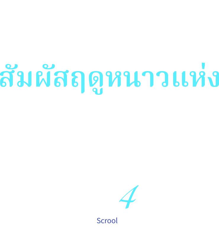สัมผัสฤดูหนาวแห่งมัตสึโมโตะผ่านประสาทสัมผัสทั้งห้า มัตสึโมโตะ ผ่าน 4 ธีมหลัก