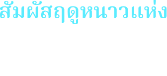 สัมผัสฤดูหนาวแห่งมัตสึโมโตะผ่านประสาทสัมผัสทั้งห้า มัตสึโมโตะ ผ่าน 4 ธีมหลัก