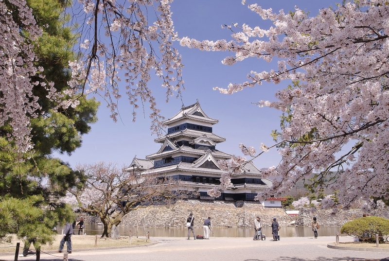 松本城桜(1)