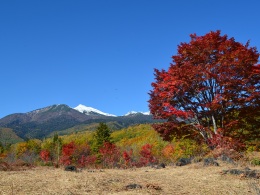 ichinose-sogen