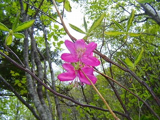 matsusho070529c.jpg