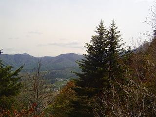matsusho070529k.jpg