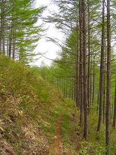 matsusho070529m.jpg
