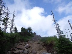 asarock.jpg