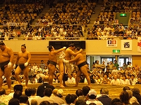 横綱綱締