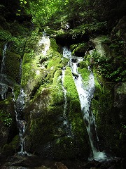 道上の小滝
