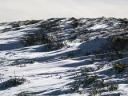 雪高原