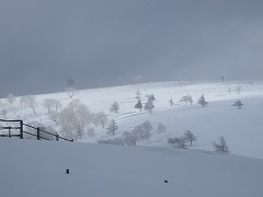 冬の美ヶ原高原牧場