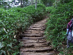 階段が続く