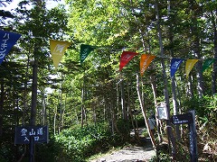 運動会のような登山口