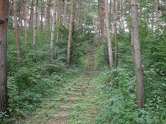 藤池百体観音　山道