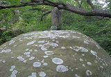 dscn6551.jpg