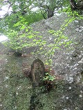 dscn6558.jpg