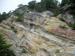 dscn6564.jpg