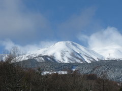 Mtのり