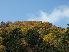 登山口近辺の紅葉
