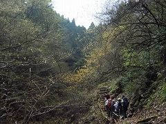 登山道