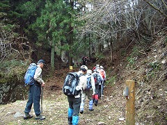 舗装の林道を渡った先