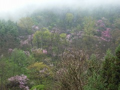 桃源郷