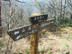 みちしるべ