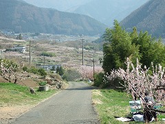 描きたくなる風景