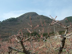 尼巌山