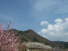 奇妙山