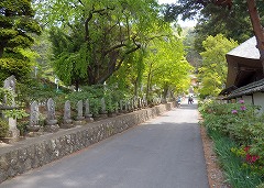 玄向寺2