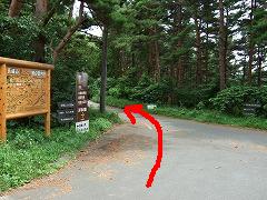 天平の森へ
