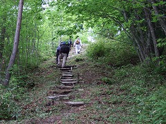 階段状の登山道