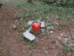 金松寺山三角点