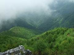 天狗岩からの眺め