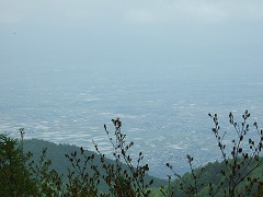 見えてくる市街地