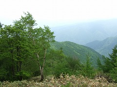 心地よい眺め
