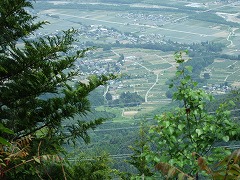 大久保グランドも見える
