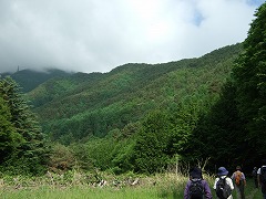 林道を歩く