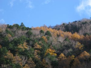 23.10.31燕岳 001